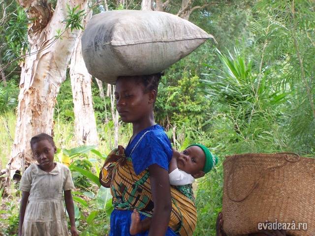 Insula Madagascar | 3